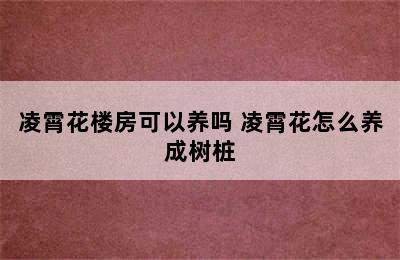 凌霄花楼房可以养吗 凌霄花怎么养成树桩